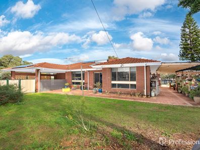 9 Craine Place, Spalding WA 6530