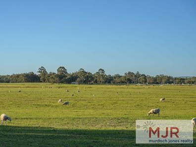Karnup Road, Serpentine WA 6125