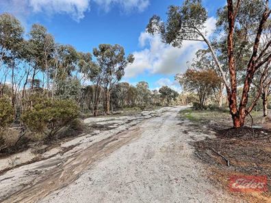 159 & 171 Kelvin Street, Pingelly WA 6308