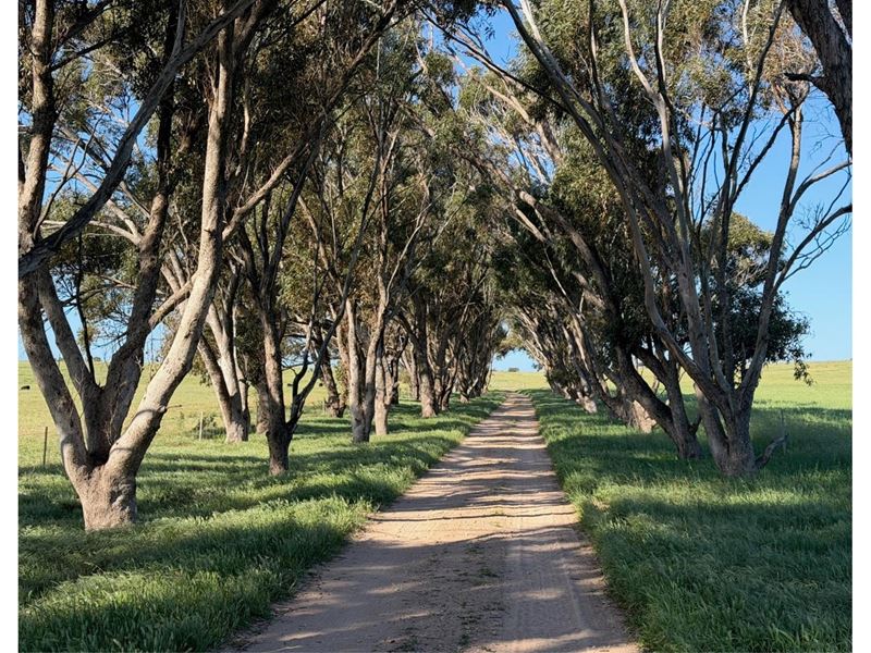 339 Butcher Road, Bookara