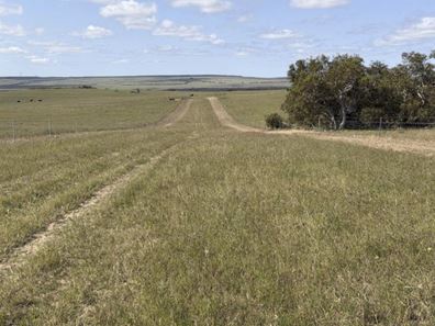 339 Butcher Road, Bookara WA 6525