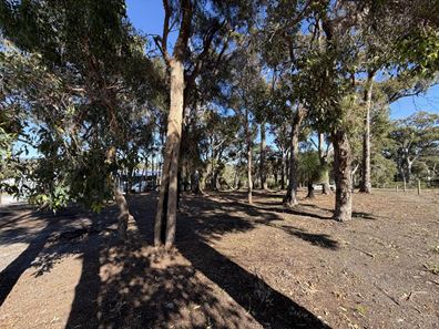 20 McCallum Way, Walpole WA 6398